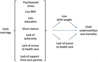 An Evolutionary Model of “Sexual Conflict” Over Women's Age at Marriage: Implications for Child Mortality and Undernutrition